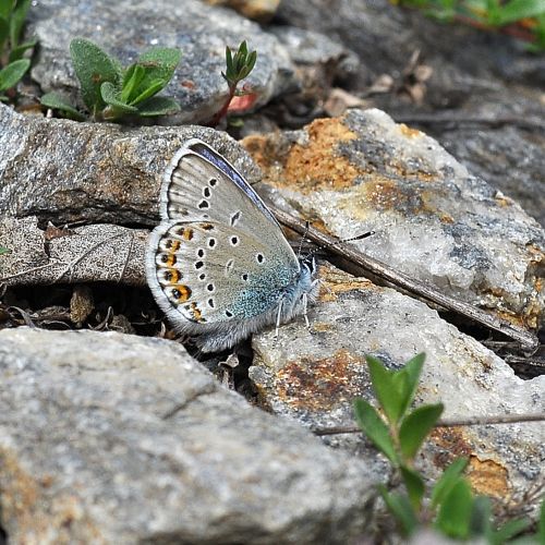 un giorno in montagna